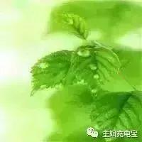 双十一，最省钱的淘宝购物绝招，老买家良心推荐！