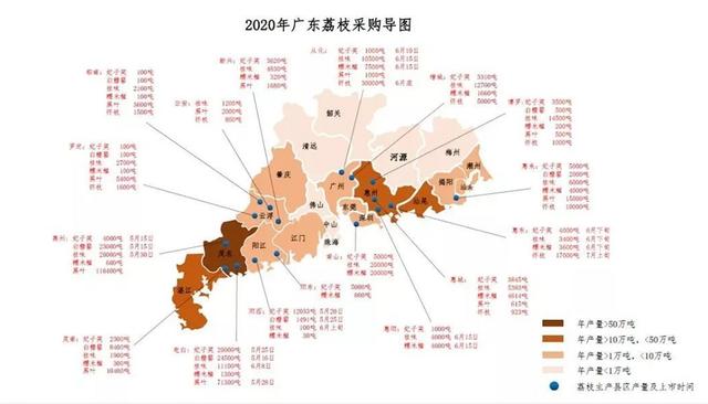 东莞早熟荔枝上市了！吃货必备时间表请查收