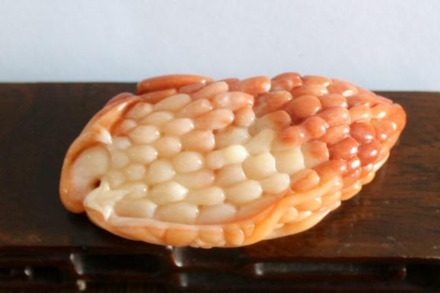 你吃过这种南方水果  金荔枝  嘛