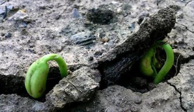 面对疫情后的失业潮，普通人如何出奇制胜逆风飞翔