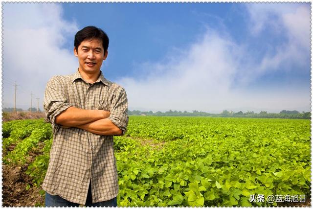 一个40多岁的人第一次创业，在农村做什么合适？没有最好只有更好