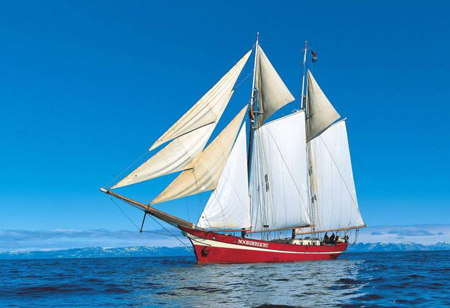 已注册商标查询怎样查看进度