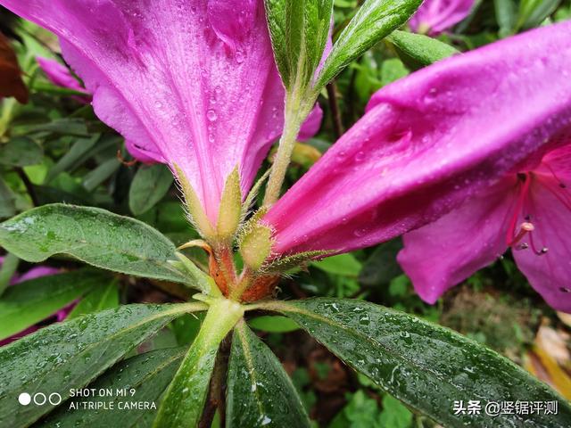 2999入手一台小米9，使用了一个月后来分享下感受