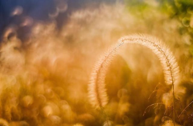 高三学生党，如何赚到人生第一笔1000块钱？