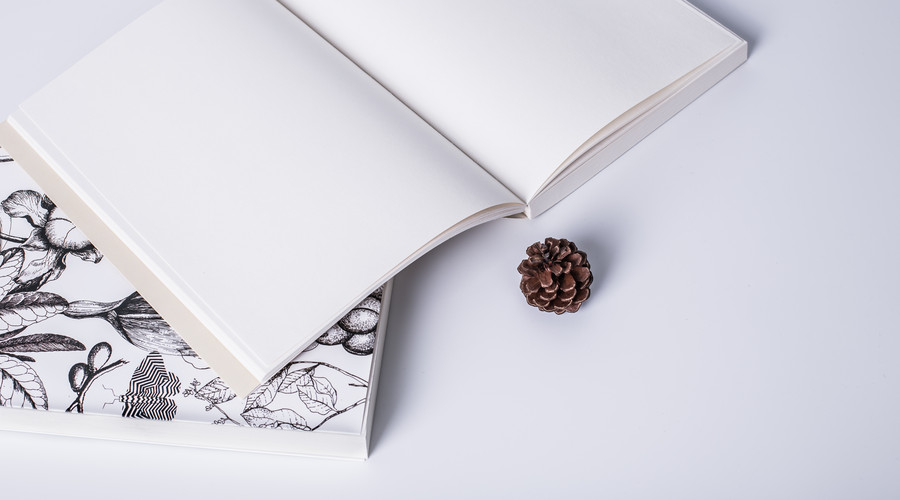 树獭先生——如何足不出户，利用一台电脑比较稳定地月入上千？