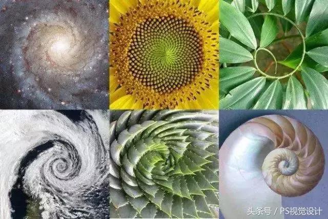 什么是黄金比例？该如何应用到设计上？