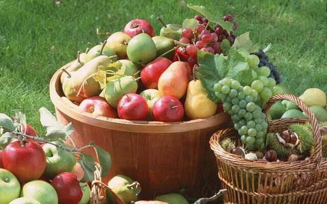 农村致富新门路：有部手机就有机会赚钱！