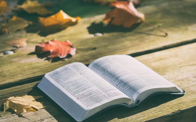 电话销售技巧：必须学习的电话营销技巧