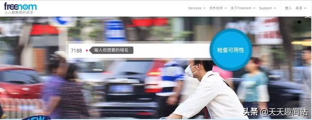 新手免费域名申请及使用