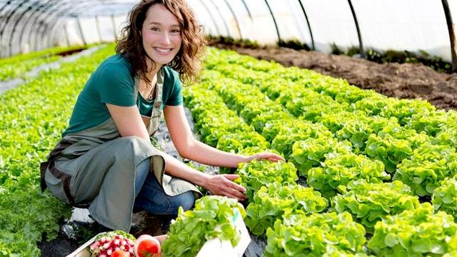 2020年后未来10年，农村创业赚钱的好项目，赶紧来了解一下