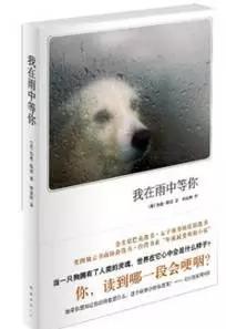 6部治愈系小说，温暖你的心