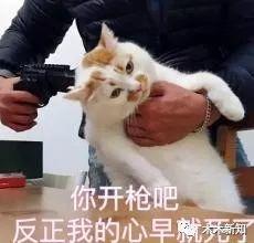 如何写出一份优秀的营销创意方案？