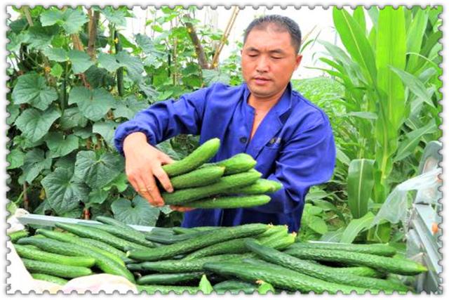 目前在农村，有哪些快速挣钱的办法呢？这几种都行