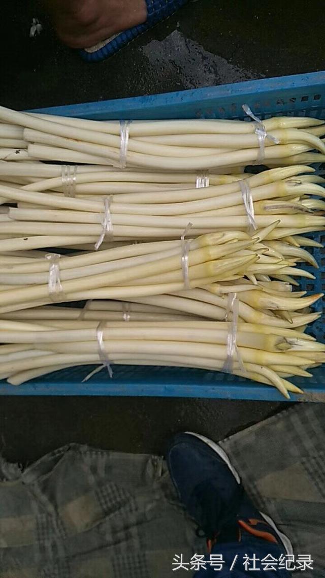 80后美女农民网上卖这“稀罕物”，3个月能赚15万，比出门打工强