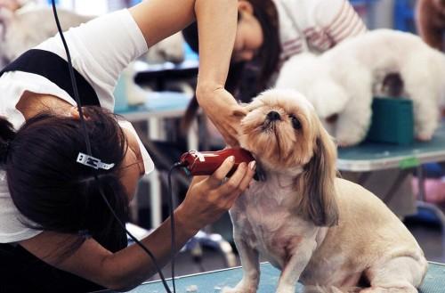 女生开什么店比较好？推荐8个稳赚的女性创业项目