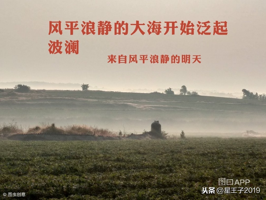 网络推广全套方案