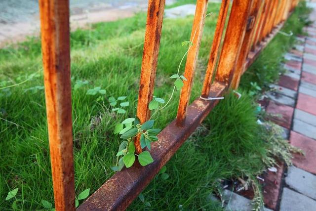 钢铁为什么会生锈？教你几招除锈的小妙招~