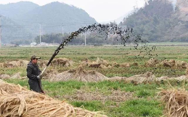 未来3年，非常赚钱的6个行业，将又会造就一批百万富翁！