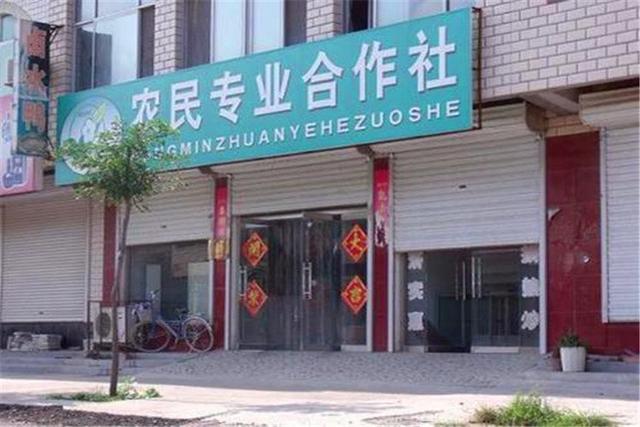 回农村创业、想年收入10万，现在做什么可以实现目标？分析一下