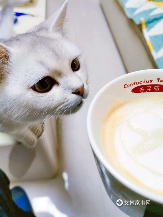 专业更对味，咖啡瘾者的她入了号称“性价比之王”的咖啡机