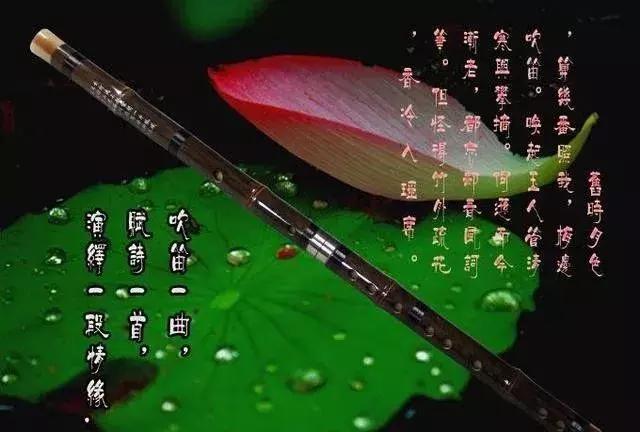 孩子学什么乐器好，先看看8种热门乐器优劣势