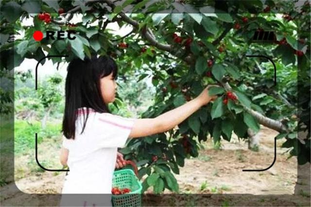 一个45岁的返乡农民，目前做什么生意能够月入过万？这几个都可以