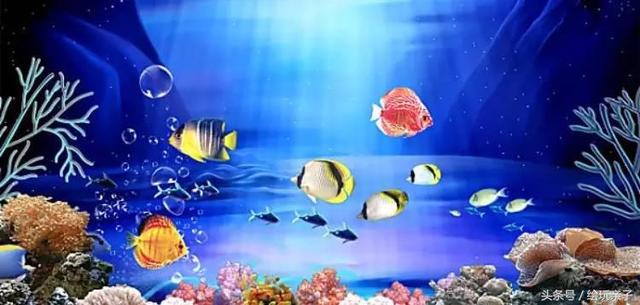 绘玩推荐：10个必读英文寓言故事，教会宝贝十个珍贵人生哲理