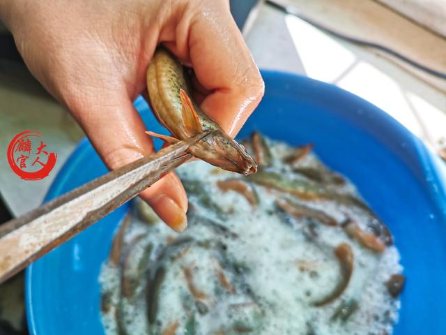泥鳅怎么杀才能肉鲜味甜？教你“4个诀窍”，做好美味泥鳅很简单