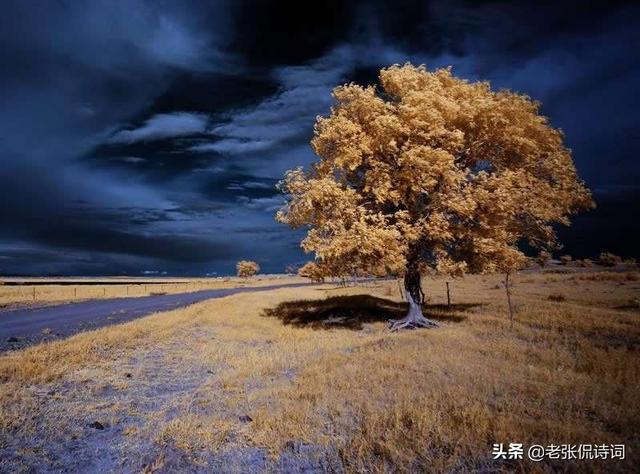 李清照“物是人非事事休”很是精彩，真正经典之句，还是最后23字