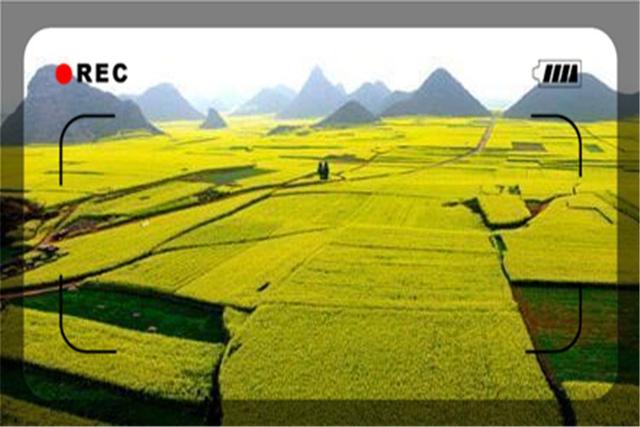 一个45岁的返乡农民，目前做什么生意能够月入过万？这几个都可以