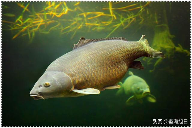 41a8bf52da5246fdb861080db2b8a514?from=pc