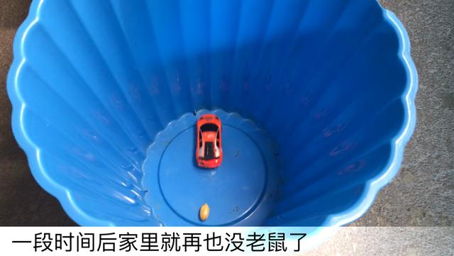 灭老鼠千万别用药，只需2张纸，抓光老鼠太简单，方法安全又健康