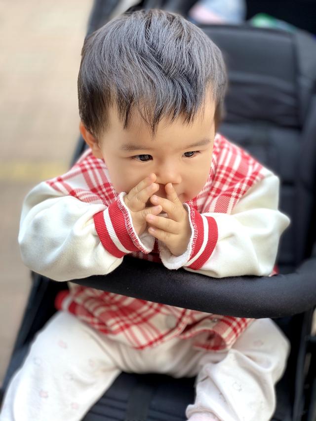 可平躺功能全，折叠轻便的婴儿推车elittile-dream