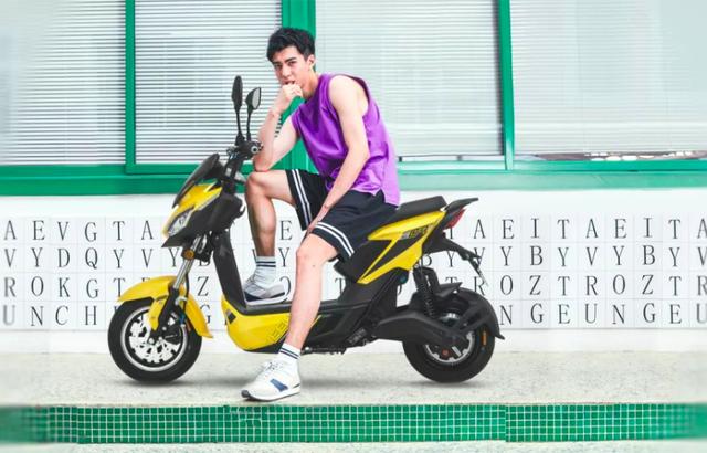 电动车什么牌子好？2019年新车选购指南