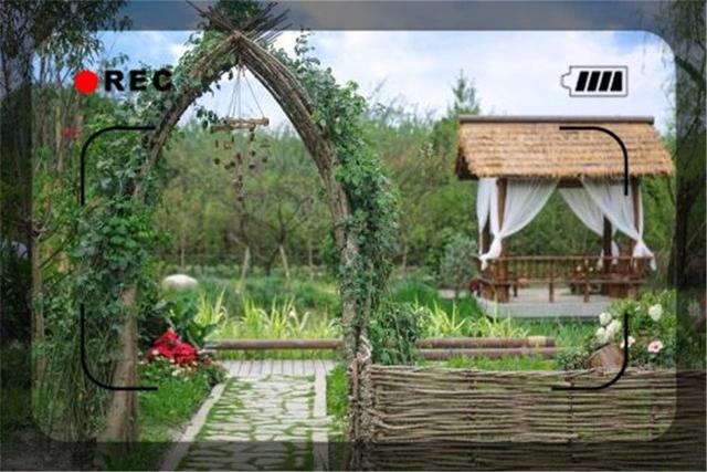 一个45岁的返乡农民，目前做什么生意能够月入过万？这几个都可以