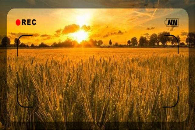 一个45岁的返乡农民，目前做什么生意能够月入过万？这几个都可以