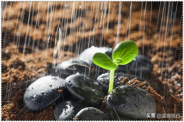 一个创业失败负债累累者，在最穷困落魄时，最需要什么？