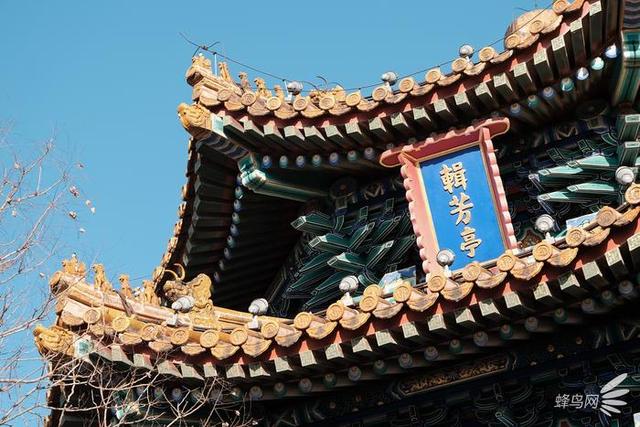 谁说鱼和熊掌不可兼得？浅谈富士X-T3