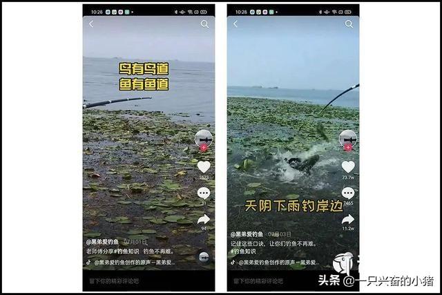 短视频提高点赞量的1个公式，2个维度