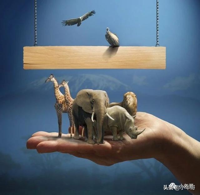 放眼未来，直播带货不过是棋盘一子