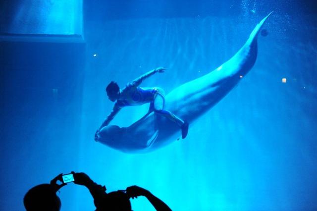 辽宁大连最好玩的16处景点，滨城特色，神奇迷离又美丽浪漫