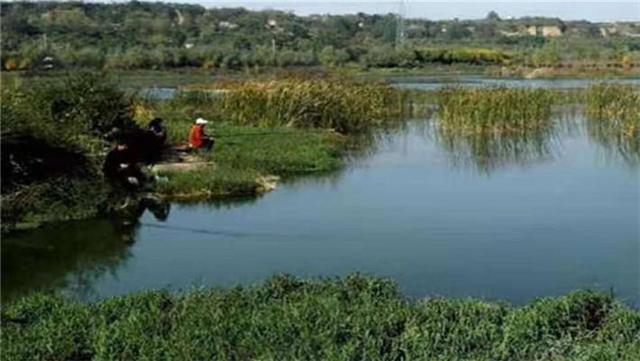 不会选择鱼竿？这5大方面教你挑最合适的