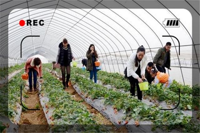 一个45岁的返乡农民，目前做什么生意能够月入过万？这几个都可以