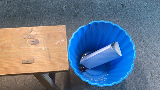 灭老鼠千万别用药，只需2张纸，抓光老鼠太简单，方法安全又健康