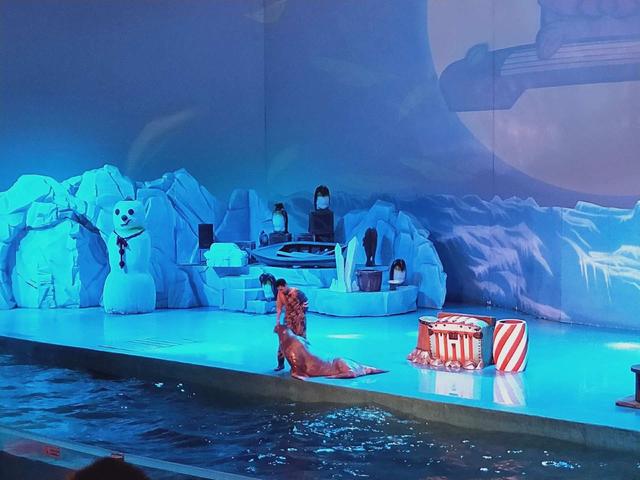 辽宁大连最好玩的16处景点，滨城特色，神奇迷离又美丽浪漫