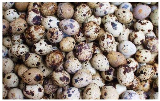 4年时间将1000元变1000万，盘底四川首富发家史，创业只为吃上肉