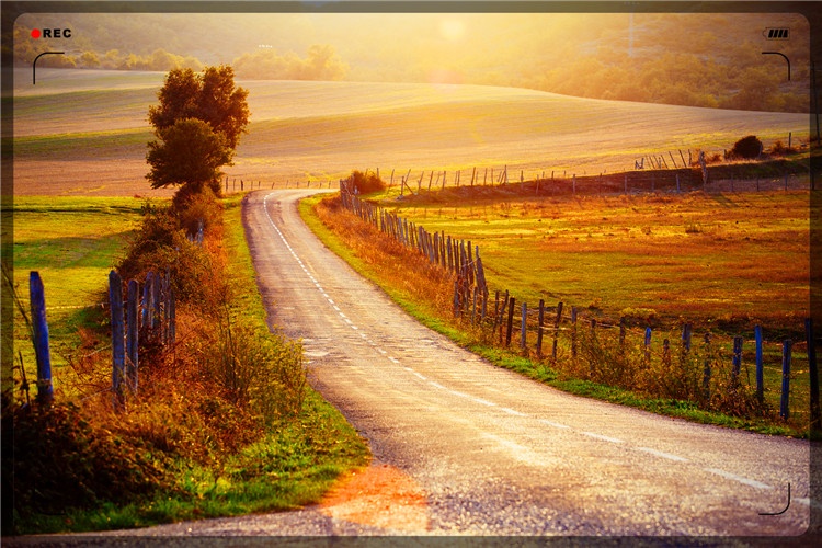 43岁的返乡创业者，5万元投入，养什么能一年稳妥收入10万？