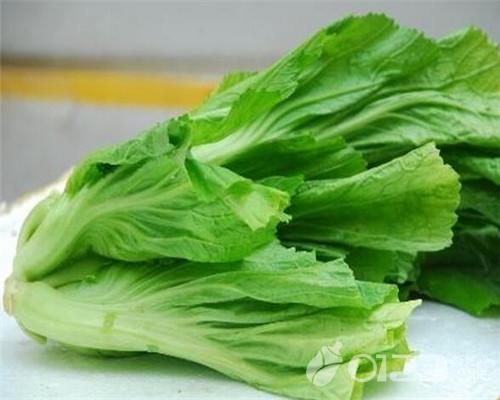 营养又美味的橄榄菜，孕妇可以吃吗？