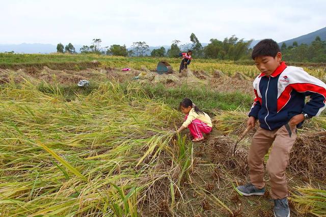 他从北大医学博士沦为低保户！在家啃老整整18年，现状如何了？