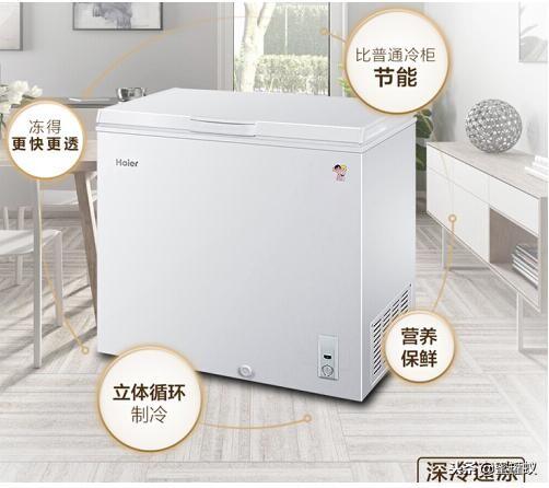 家里要买个小冰柜什么牌子质量好容量大？